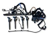 Fuel injection system set