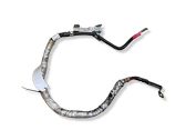 Wires (starter motor)