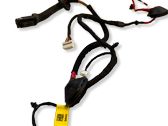 Rear door wiring loom