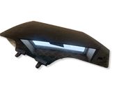 Rear door window glass