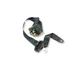 Saugos diržas vidurinis (gale)