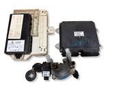 Engine control unit/module ECU