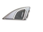 Front door high frequency speaker