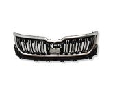 Front bumper upper radiator grill