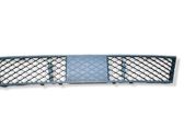 Front bumper lower grill