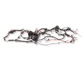 Other wiring loom