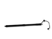 Tailgate/trunk strut/damper