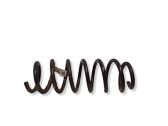 Rear coil spring