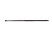 Tailgate/trunk strut/damper