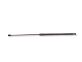 Tailgate/trunk strut/damper