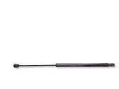 Tailgate/trunk strut/damper