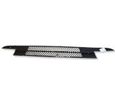 Front bumper lower grill