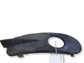 Verkleidung Nebelscheinwerfer / Gitter vorne