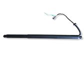 Tailgate strut