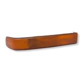 Front fender indicator light