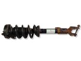 Front shock absorber with coil spring