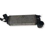 Intercooler radiator