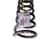 Rear coil spring