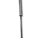 Tailgate/trunk strut/damper