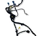 Front door wiring loom