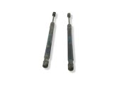 Tailgate/trunk strut/damper