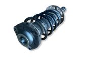 Front shock absorber with coil spring