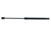 Tailgate/trunk strut/damper