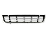 Grille inférieure de pare-chocs avant