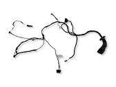 Front door wiring loom