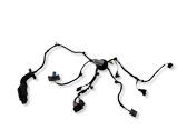 Front door wiring loom