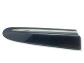 Fender trim (molding)