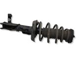 Front shock absorber with coil spring