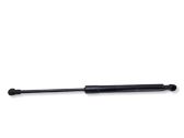 Front bonnet/hood damper/strut