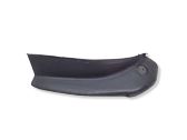 Rear/tail light trim molding