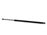 Tailgate/trunk strut/damper