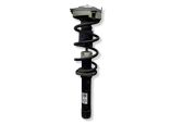 Front shock absorber with coil spring