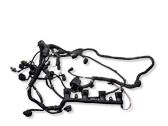 Engine installation wiring loom