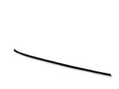 Windshield trim