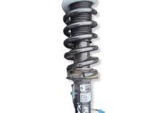 Rear shock absorber/damper