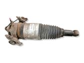 Shock absorber/damper/air suspension