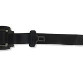 Rear seatbelt