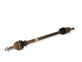 Rear driveshaft