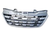 Front bumper upper radiator grill