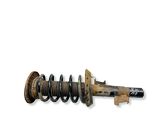 Front shock absorber with coil spring