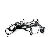 Engine installation wiring loom