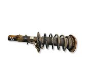 Front shock absorber with coil spring