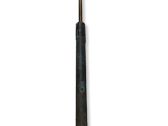 Tailgate/trunk strut/damper