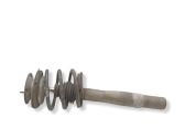 Front shock absorber with coil spring