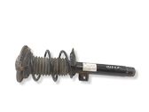 Amortiguador delantero con muelle espiral