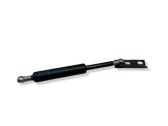 Tailgate/trunk strut/damper